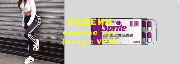 мдпв Краснослободск