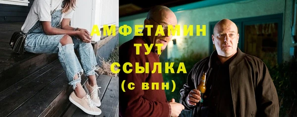 мдпв Краснослободск