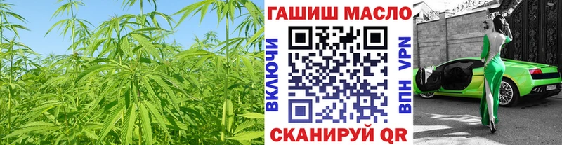 дарк нет наркотические препараты  где можно купить наркотик  MEGA ONION  Елизаветинская  Дистиллят ТГК Wax 